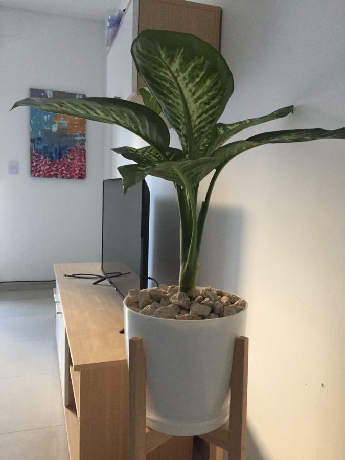 Trendy Full Apartment in Recoleta Buenos Aires Esterno foto